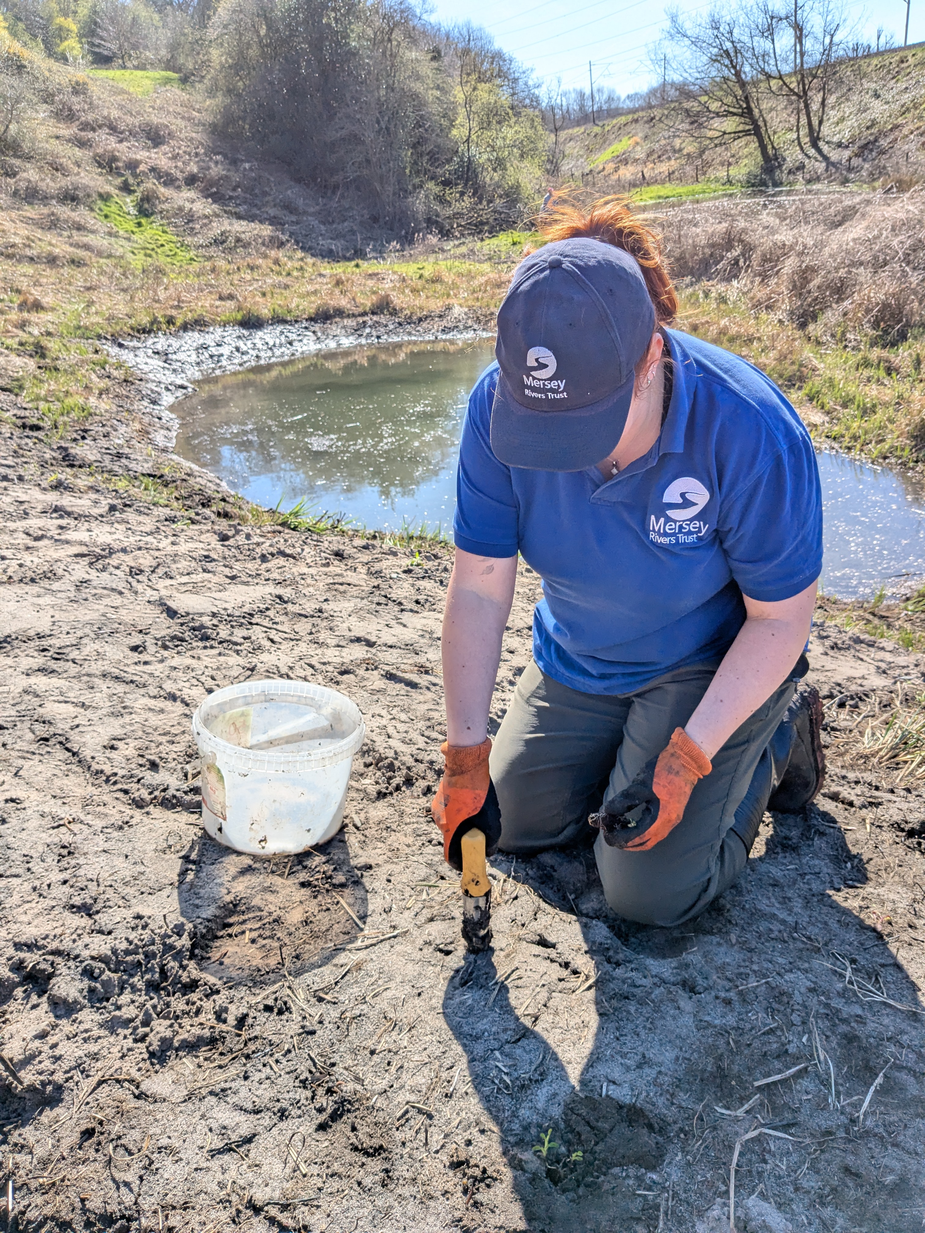 Riverside planting photo