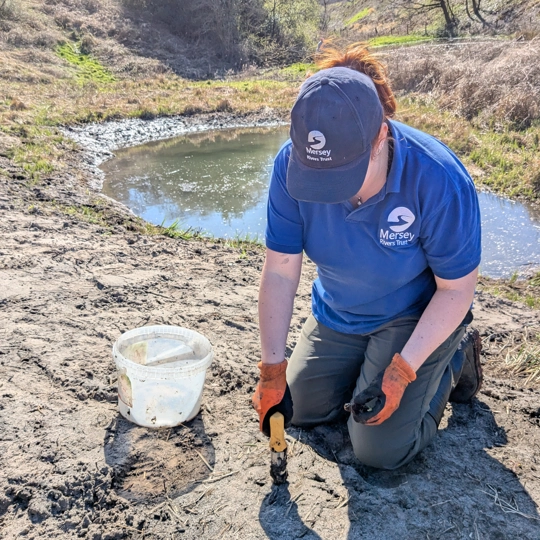 Riverside planting photo