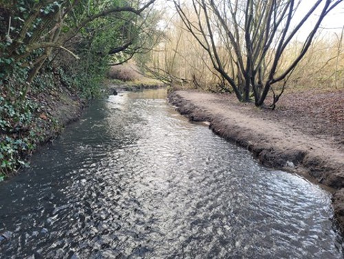 Whittle Brook before works