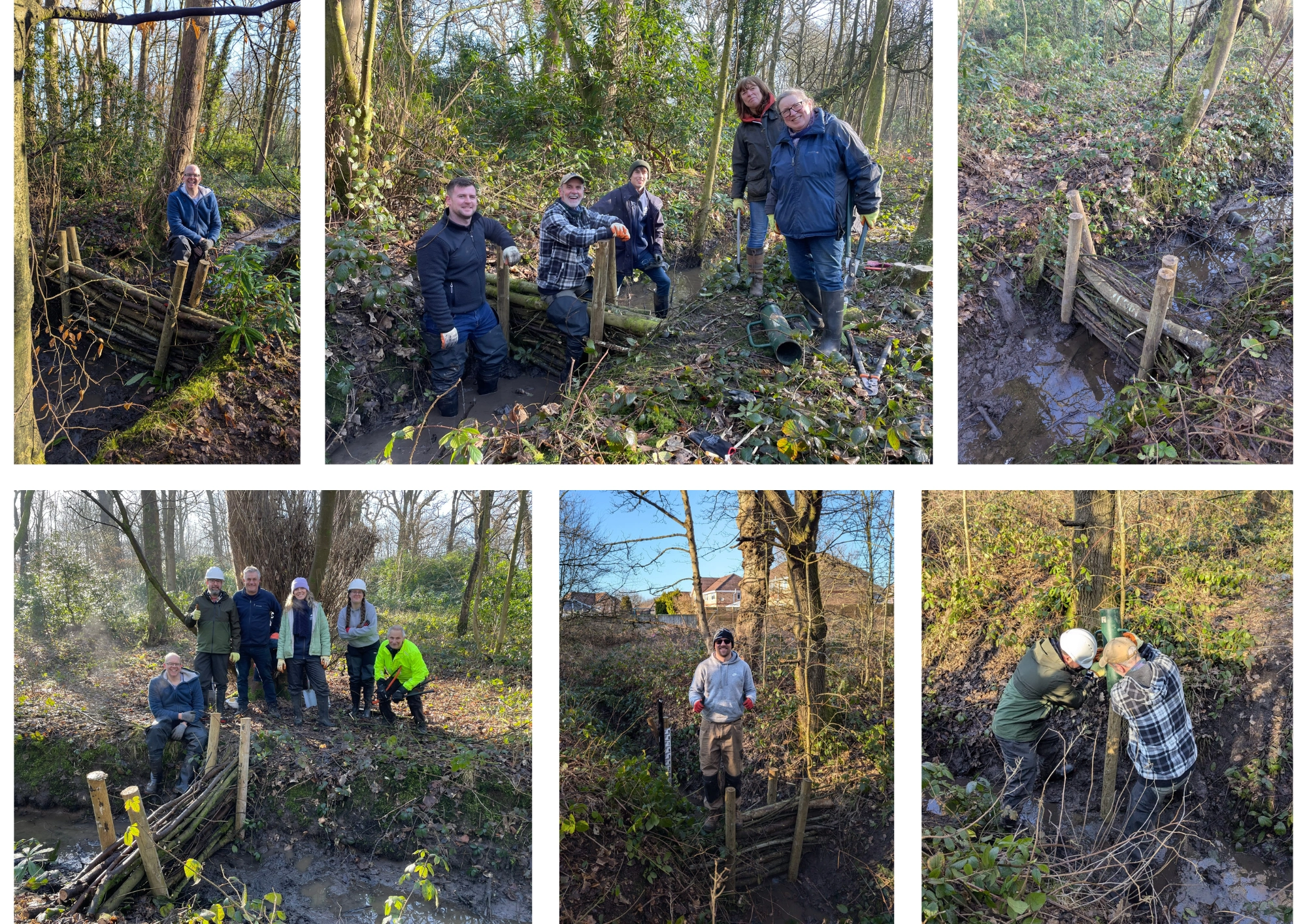 Dam Wood Leaky Dams collage