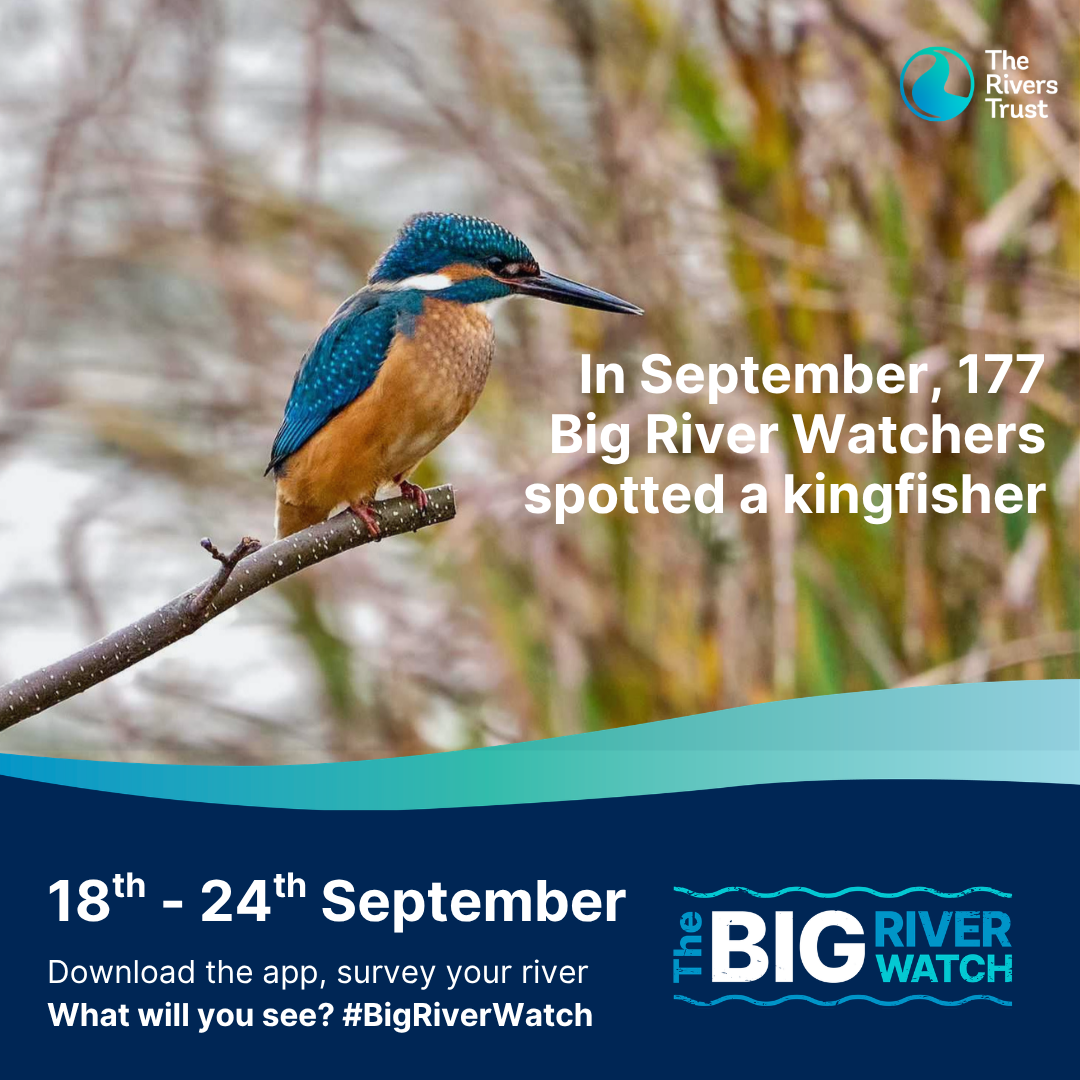 BRW April 26 Kingfisher Square