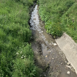 Wildflower Meadow creation