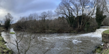 River Bollin View 3