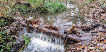 <h3><strong>Leaky Dams</strong></h3>