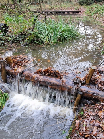 <h2><strong>Natural Flood Management</strong></h2>