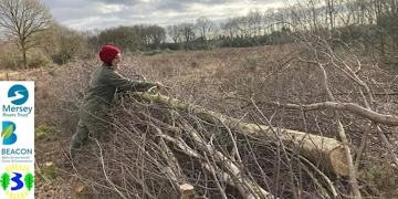 Coppicing