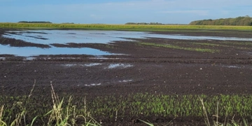 Peat Header 2000X600