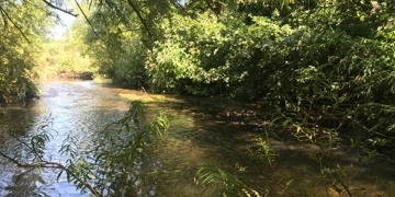 Stream