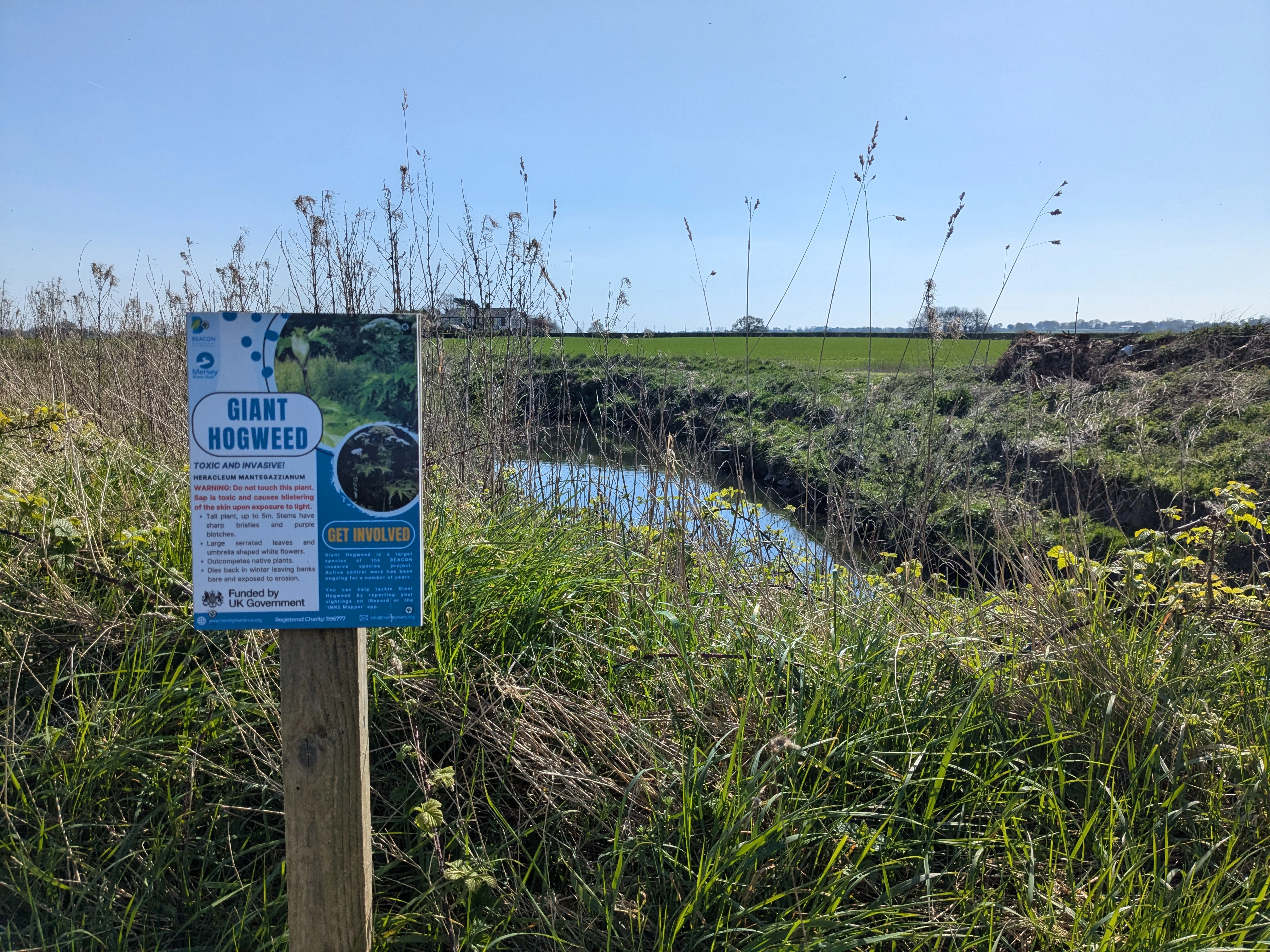 Invasive non-native species