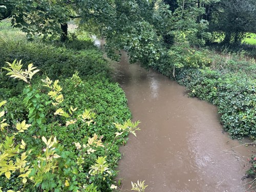 Millbrook Millennium Green