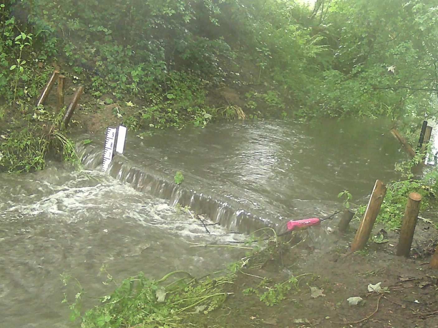 Willowbed Plantation leaky dam in action