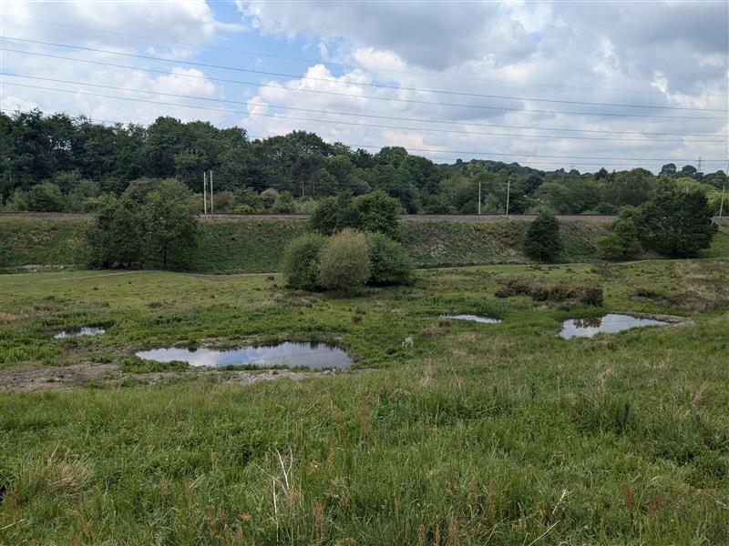 Riverside ponds