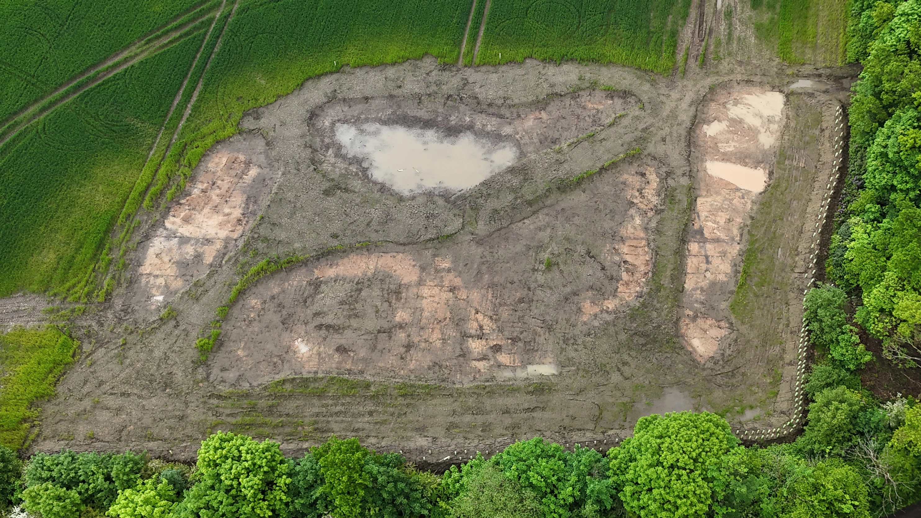 Dam Wood wetland after