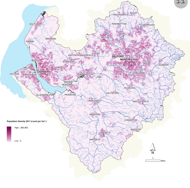 High population