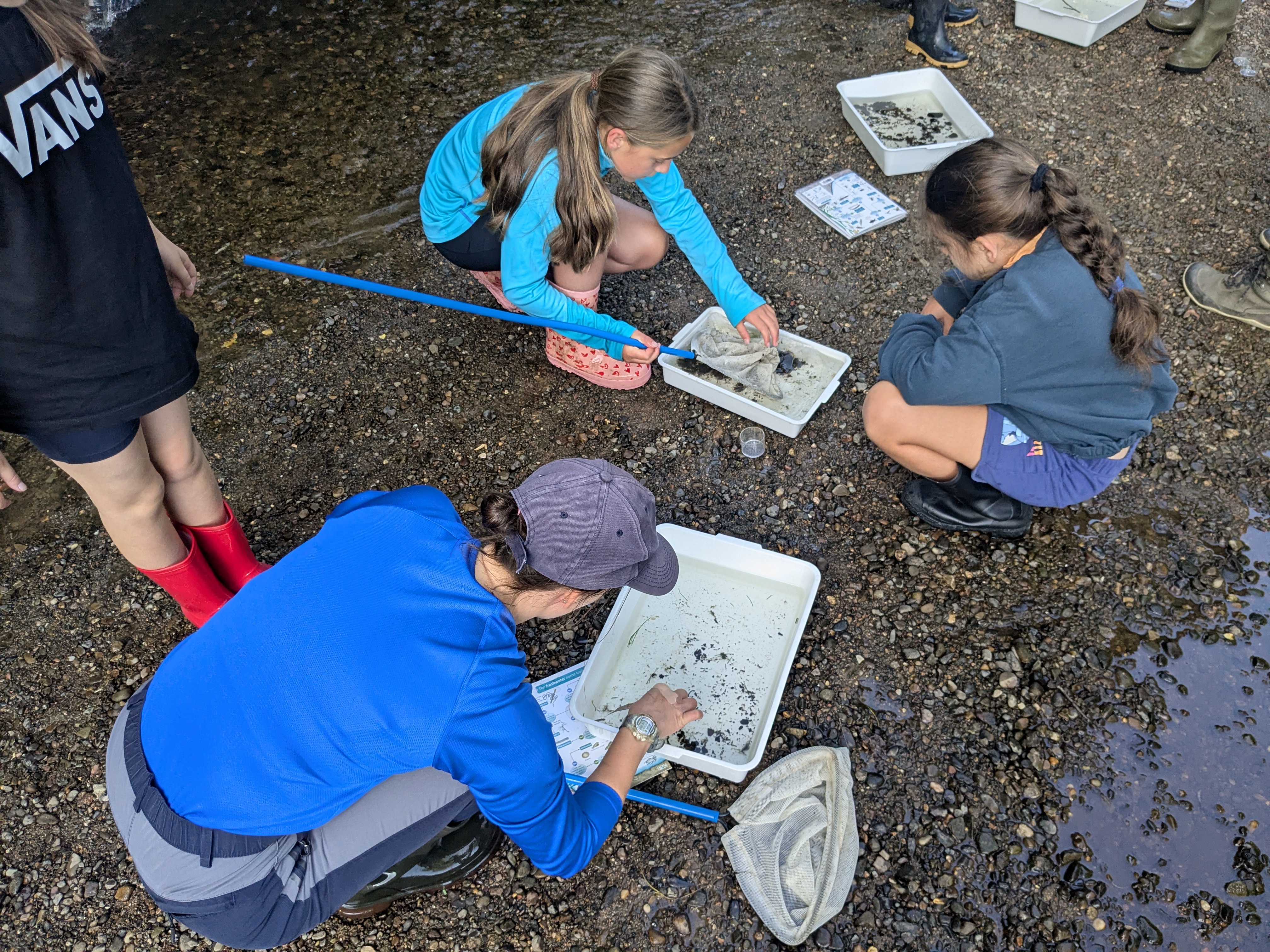 River dipping at the Carrs
