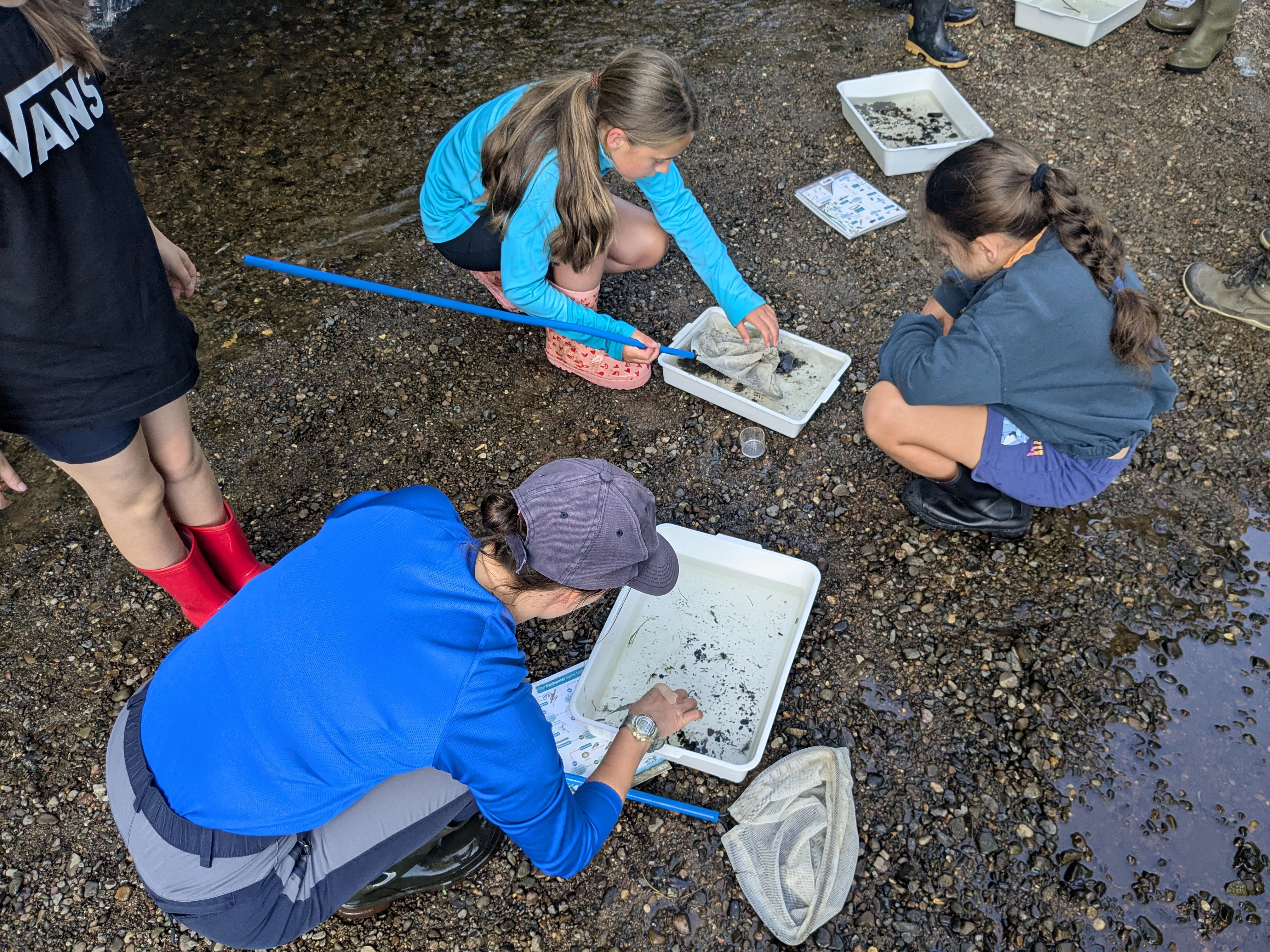 River dipping at the Carrs