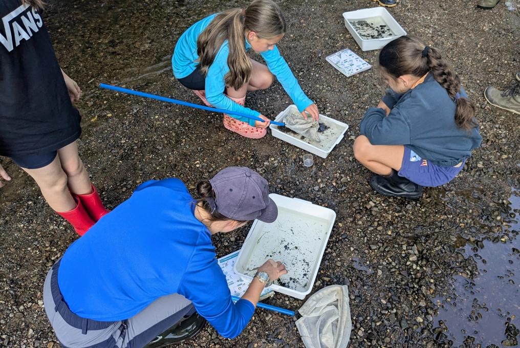River dipping at the Carrs